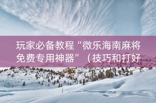 玩家必备教程“微乐海南麻将免费专用神器”（技巧和打好牌方法)
