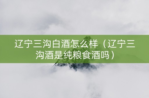辽宁三沟白酒怎么样（辽宁三沟酒是纯粮食酒吗）