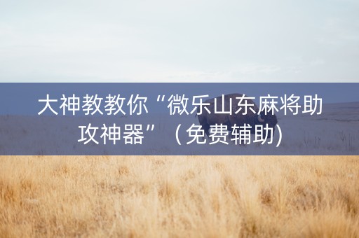 大神教教你“微乐山东麻将助攻神器”（免费辅助)