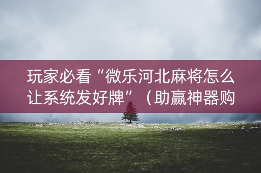 玩家必看“微乐河北麻将怎么让系统发好牌”（助赢神器购买)