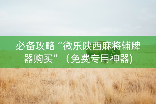 必备攻略“微乐陕西麻将辅牌器购买”（免费专用神器)
