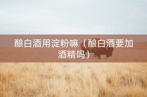 酿白酒用淀粉嘛（酿白酒要加酒精吗）