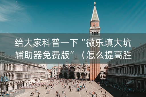 给大家科普一下“微乐填大坑辅助器免费版”（怎么提高胜率)