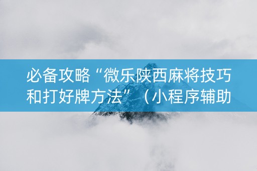 必备攻略“微乐陕西麻将技巧和打好牌方法”（小程序辅助软件)