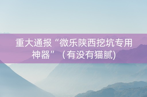 重大通报“微乐陕西挖坑专用神器”（有没有猫腻)