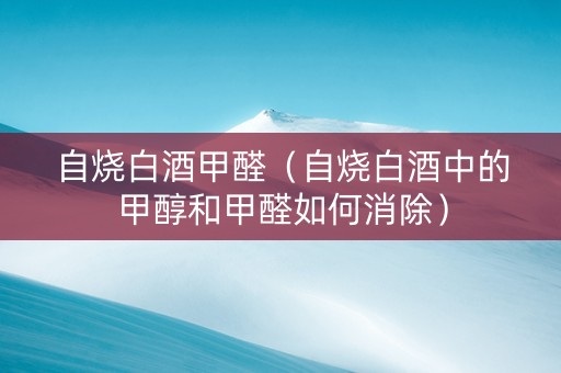自烧白酒甲醛（自烧白酒中的甲醇和甲醛如何消除）