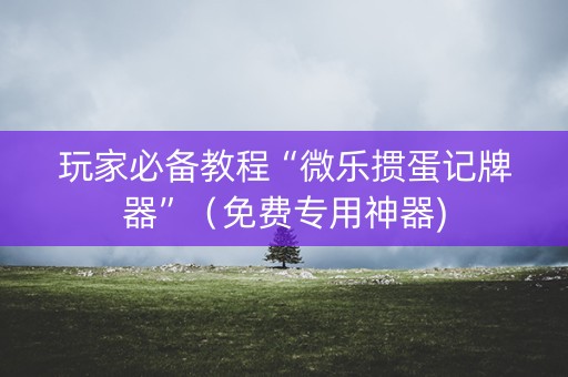 玩家必备教程“微乐掼蛋记牌器”（免费专用神器)