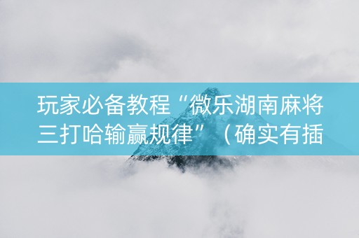 玩家必备教程“微乐湖南麻将三打哈输赢规律”（确实有插件吗)