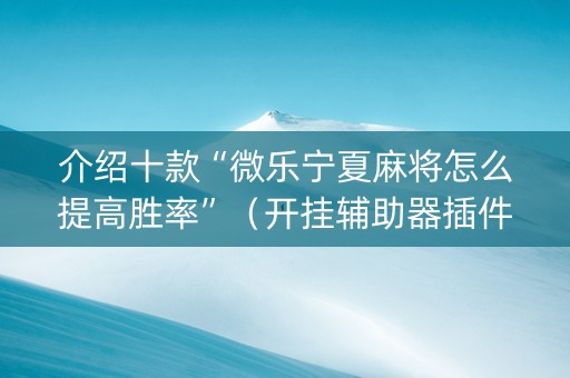 介绍十款“微乐宁夏麻将怎么提高胜率”（开挂辅助器插件)
