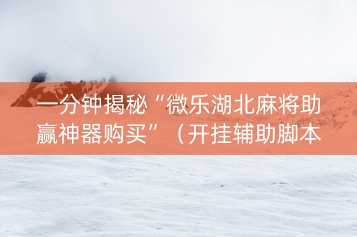 一分钟揭秘“微乐湖北麻将助赢神器购买”（开挂辅助脚本)