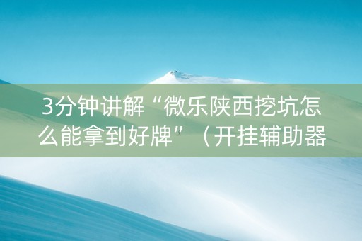 3分钟讲解“微乐陕西挖坑怎么能拿到好牌”（开挂辅助器插件)