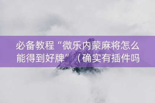 必备教程“微乐内蒙麻将怎么能得到好牌”（确实有插件吗)