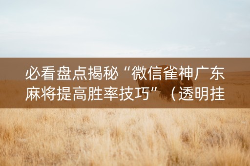 必看盘点揭秘“微信雀神广东麻将提高胜率技巧”（透明挂辅助器)