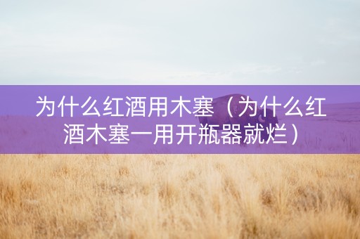 为什么红酒用木塞（为什么红酒木塞一用开瓶器就烂）