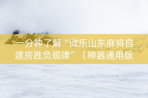 一分钟了解“微乐山东麻将自建房胜负规律”（神器通用版)