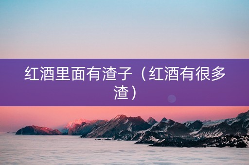 红酒里面有渣子（红酒有很多渣）