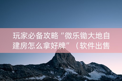 玩家必备攻略“微乐锄大地自建房怎么拿好牌”（软件出售)