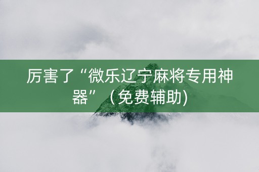 厉害了“微乐辽宁麻将专用神器”（免费辅助)