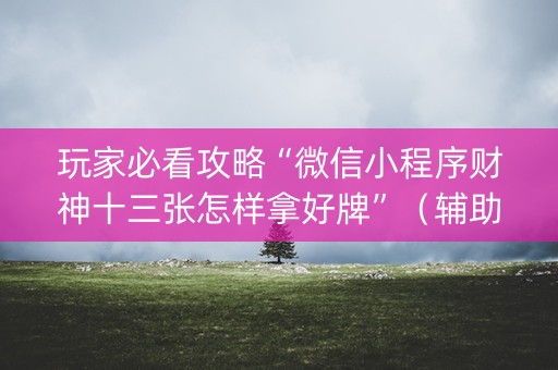 玩家必看攻略“微信小程序财神十三张怎样拿好牌”（辅助神器免费)