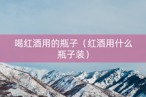 喝红酒用的瓶子（红酒用什么瓶子装）