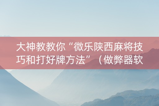 大神教教你“微乐陕西麻将技巧和打好牌方法”（做弊器软件下载)