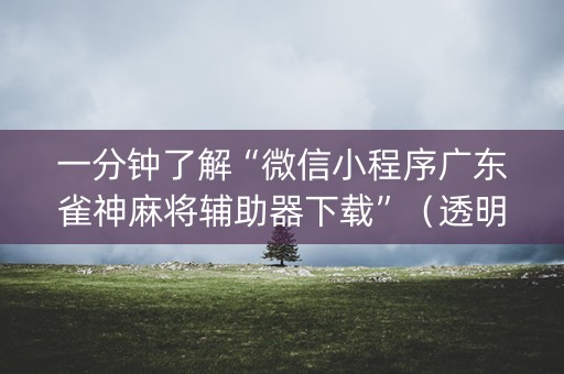 一分钟了解“微信小程序广东雀神麻将辅助器下载”（透明挂辅助器)