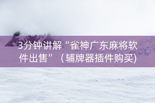 3分钟讲解“雀神广东麻将软件出售”（辅牌器插件购买)