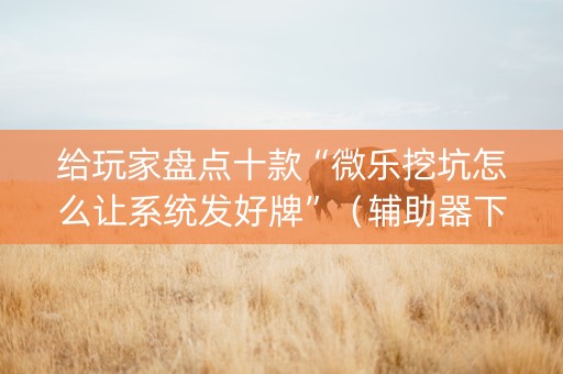给玩家盘点十款“微乐挖坑怎么让系统发好牌”（辅助器下载)