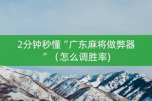 2分钟秒懂“广东麻将做弊器”（怎么调胜率)