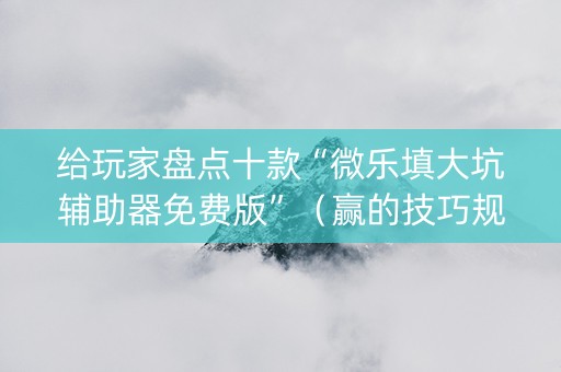 给玩家盘点十款“微乐填大坑辅助器免费版”（赢的技巧规律)
