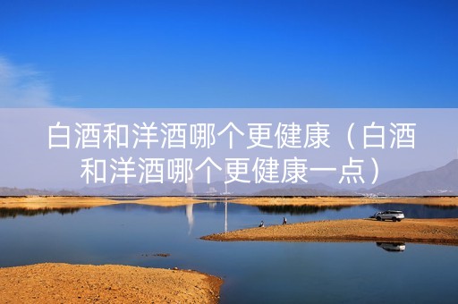 白酒和洋酒哪个更健康（白酒和洋酒哪个更健康一点）