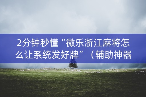 2分钟秒懂“微乐浙江麻将怎么让系统发好牌”（辅助神器免费)