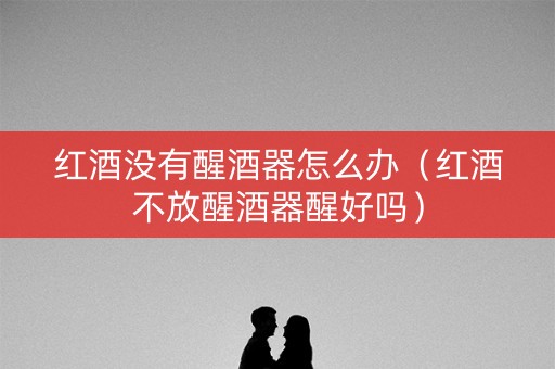 红酒没有醒酒器怎么办（红酒不放醒酒器醒好吗）