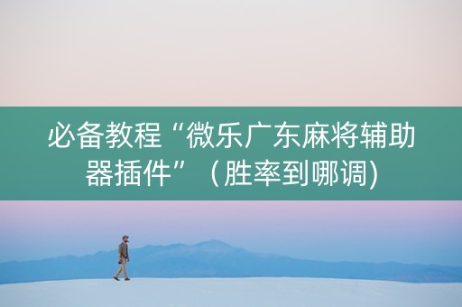 必备教程“微乐广东麻将辅助器插件”（胜率到哪调)