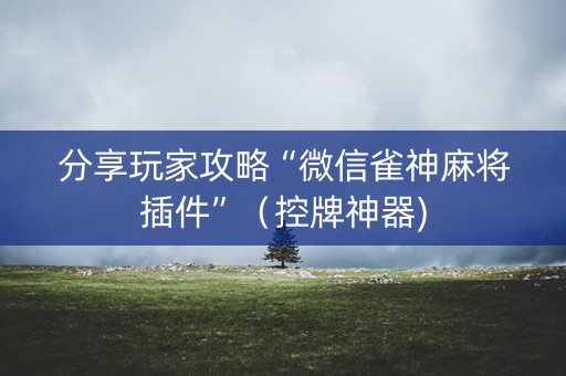 分享玩家攻略“微信雀神麻将插件”（控牌神器)