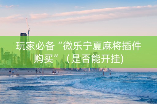 玩家必备“微乐宁夏麻将插件购买”（是否能开挂)