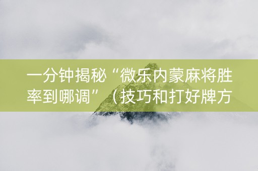 一分钟揭秘“微乐内蒙麻将胜率到哪调”（技巧和打好牌方法)