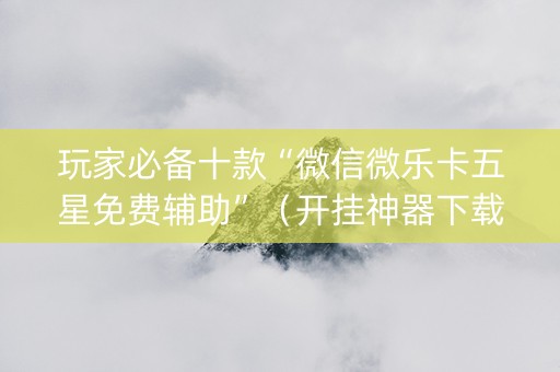 玩家必备十款“微信微乐卡五星免费辅助”（开挂神器下载)