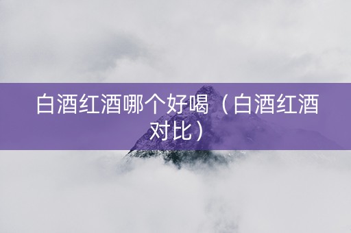 白酒红酒哪个好喝（白酒红酒对比）