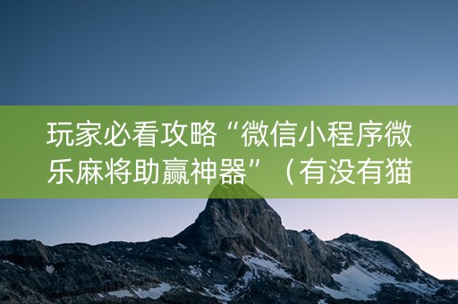 玩家必看攻略“微信小程序微乐麻将助赢神器”（有没有猫腻)