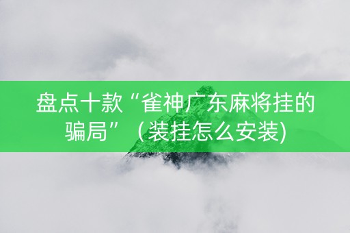 盘点十款“雀神广东麻将挂的骗局”（装挂怎么安装)
