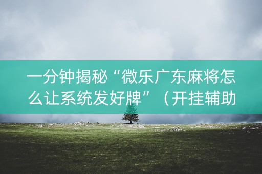 一分钟揭秘“微乐广东麻将怎么让系统发好牌”（开挂辅助脚本)
