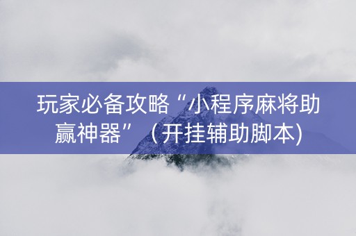 玩家必备攻略“小程序麻将助赢神器”（开挂辅助脚本)