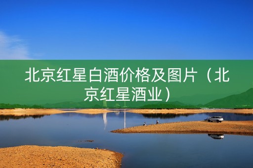北京红星白酒价格及图片（北京红星酒业）