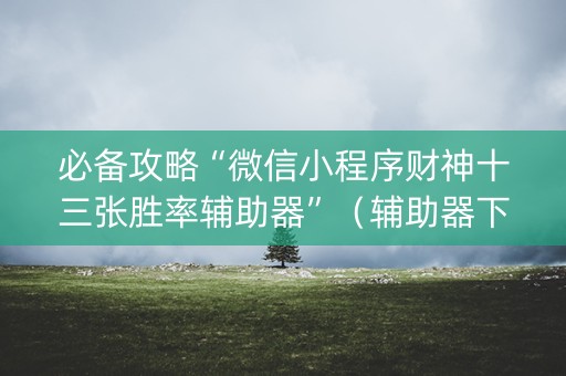 必备攻略“微信小程序财神十三张胜率辅助器”（辅助器下载)