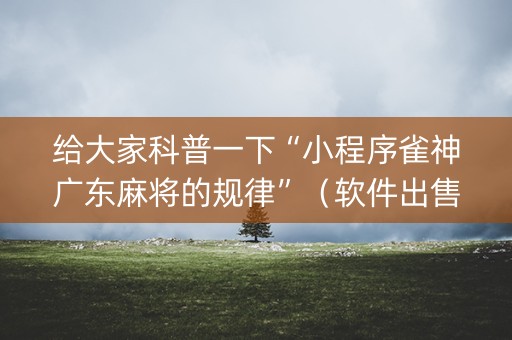 给大家科普一下“小程序雀神广东麻将的规律”（软件出售)