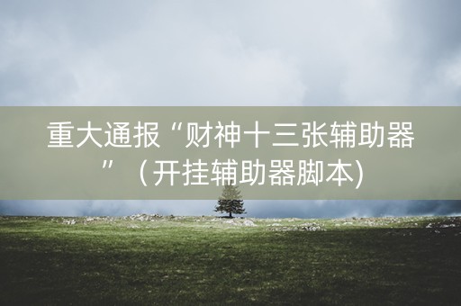 重大通报“财神十三张辅助器”（开挂辅助器脚本)