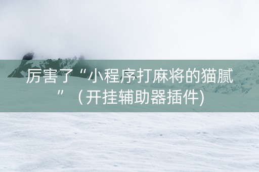 厉害了“小程序打麻将的猫腻”（开挂辅助器插件)