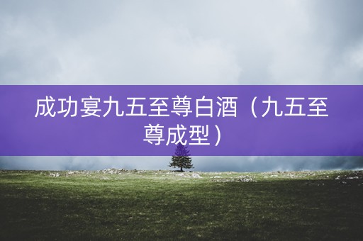 成功宴九五至尊白酒（九五至尊成型）