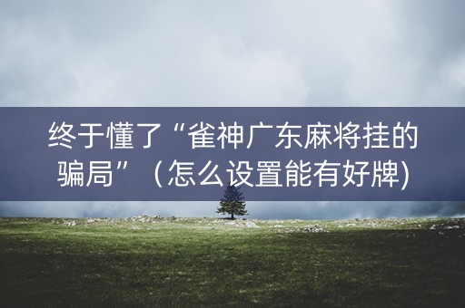 终于懂了“雀神广东麻将挂的骗局”（怎么设置能有好牌)